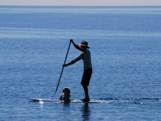 SUP mit Hund - ein Hobby für euch beide