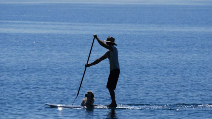 SUP mit Hund - ein Hobby für euch beide