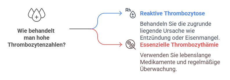 Behandlung – Was hilft gegen zu hohe Thrombozyten_Grafik
