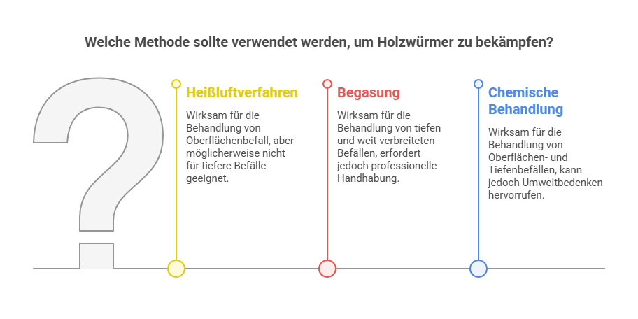 Holzwurm erkennen und Schädlingsbekämpfung vom Profi - Grafik