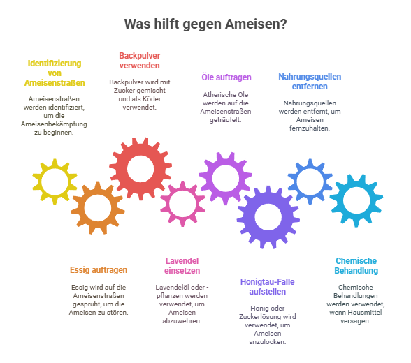 Was hilft gegen Ameisen_Die besten Hausmittel - Grafik