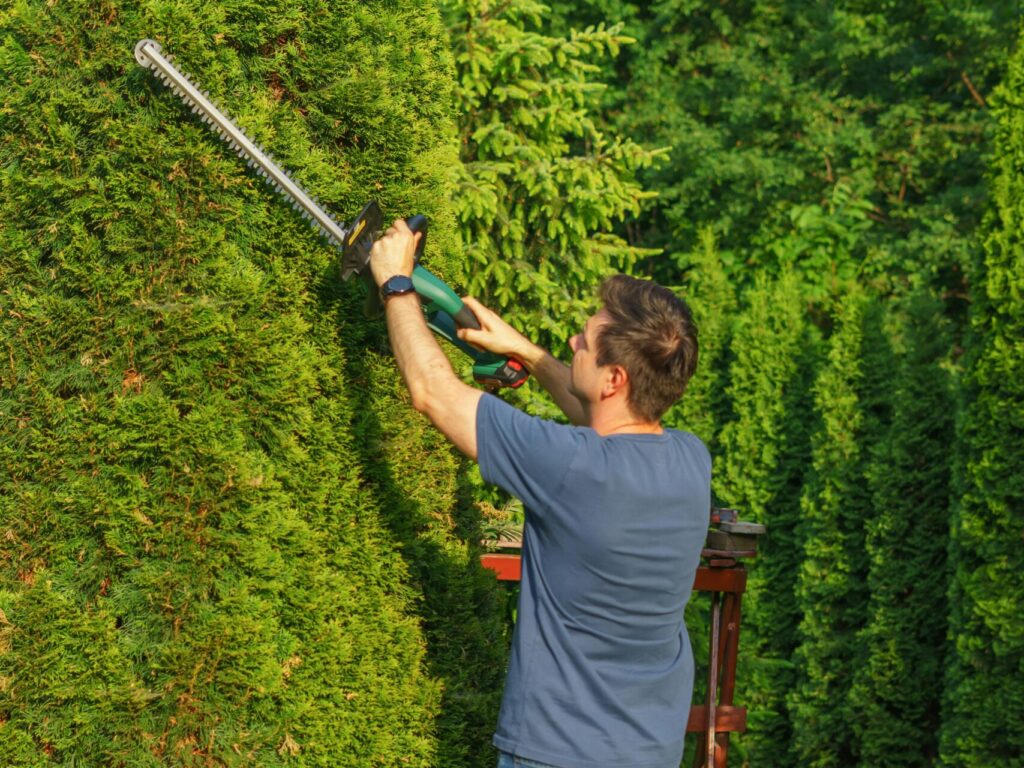 Elektrische Heckenschere für den Garten