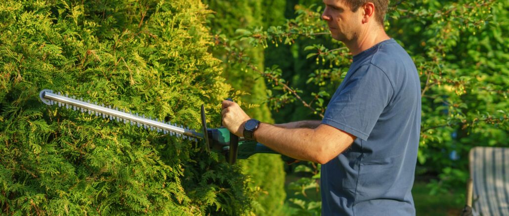 Hecke schneiden