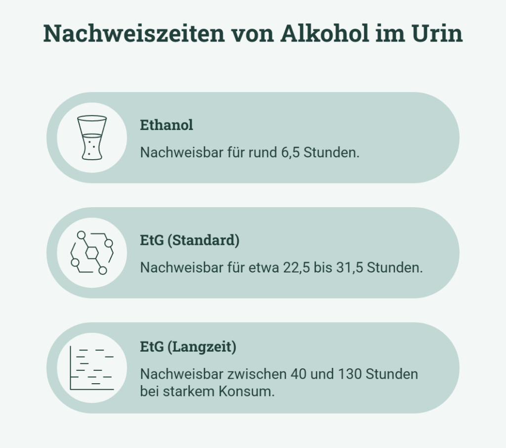 Wie lange ist Alkohol im Urin nachweisbar_Grafik